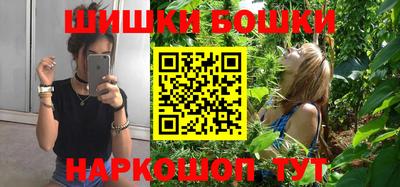 стаф Дубна