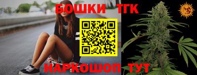 стаф Дубна