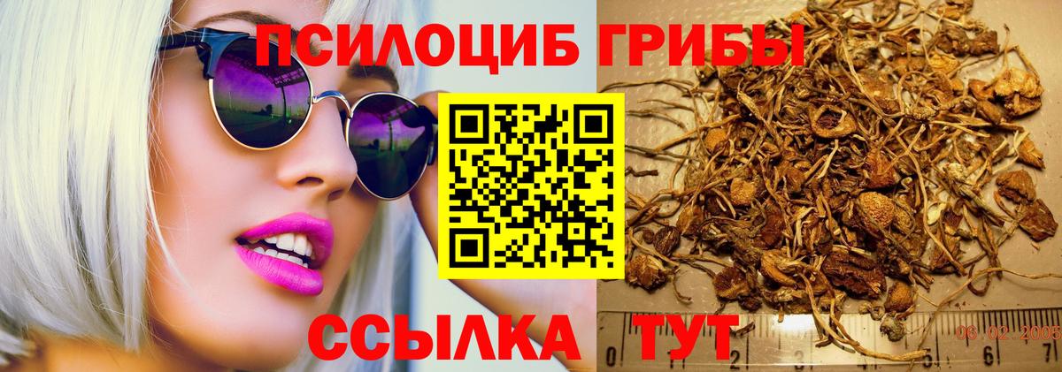 Галлюциногенные грибы GOLDEN TEACHER Майкоп